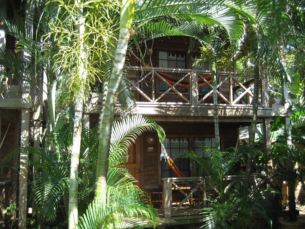 Las Rocas Resort And Dive Center West Bay Exterior foto
