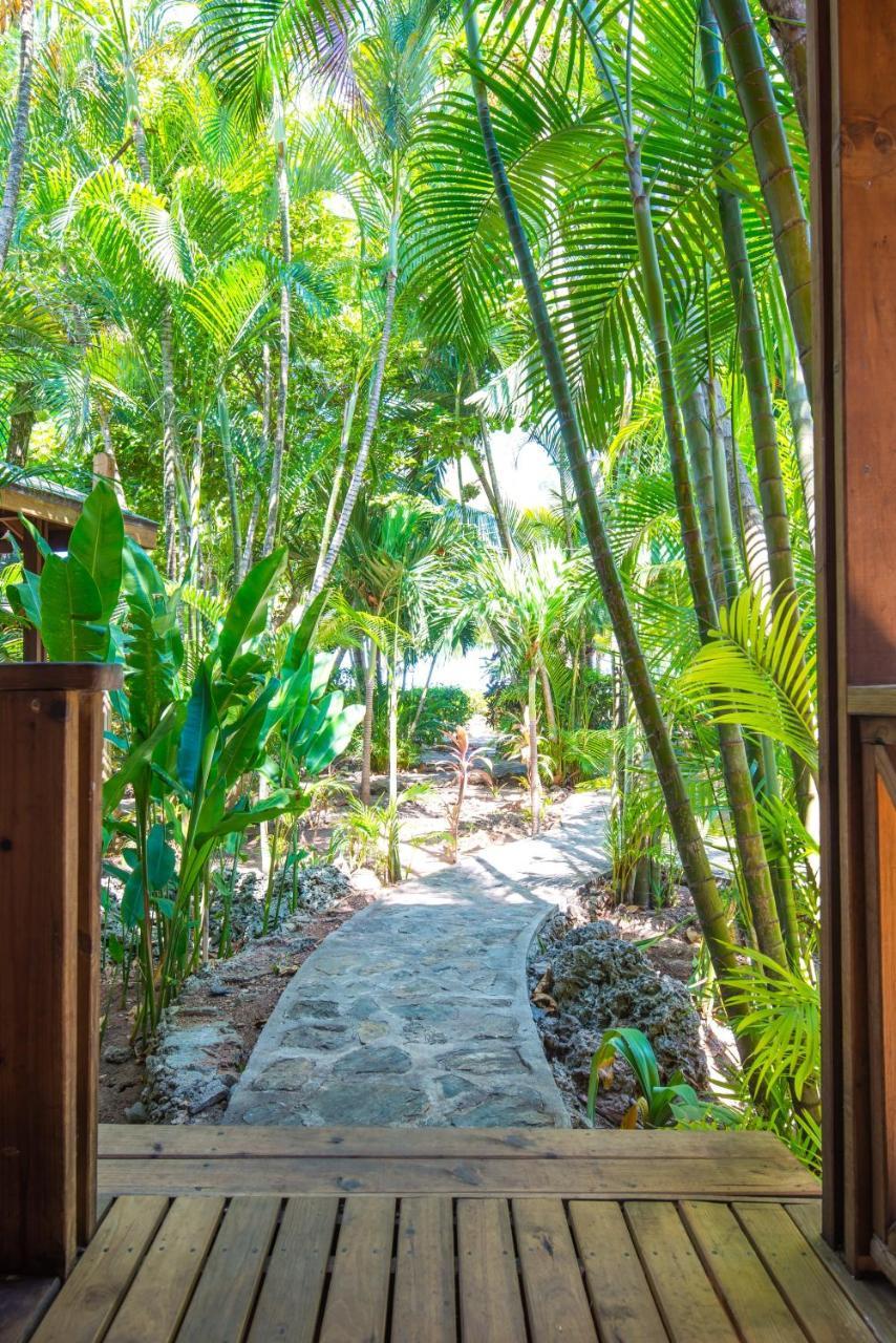 Las Rocas Resort And Dive Center West Bay Exterior foto